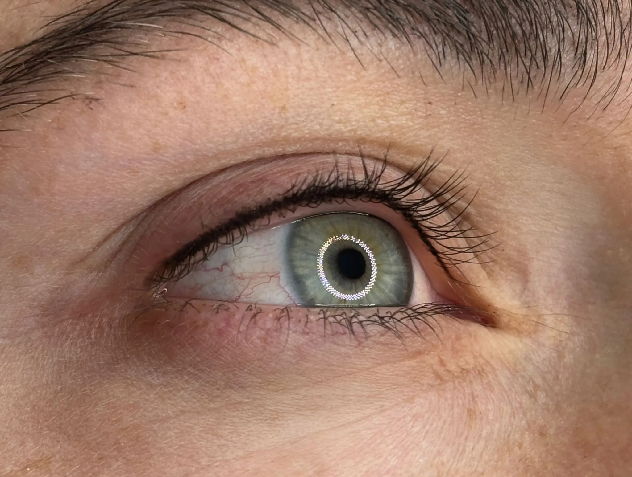 Lashliner Ergebnis München